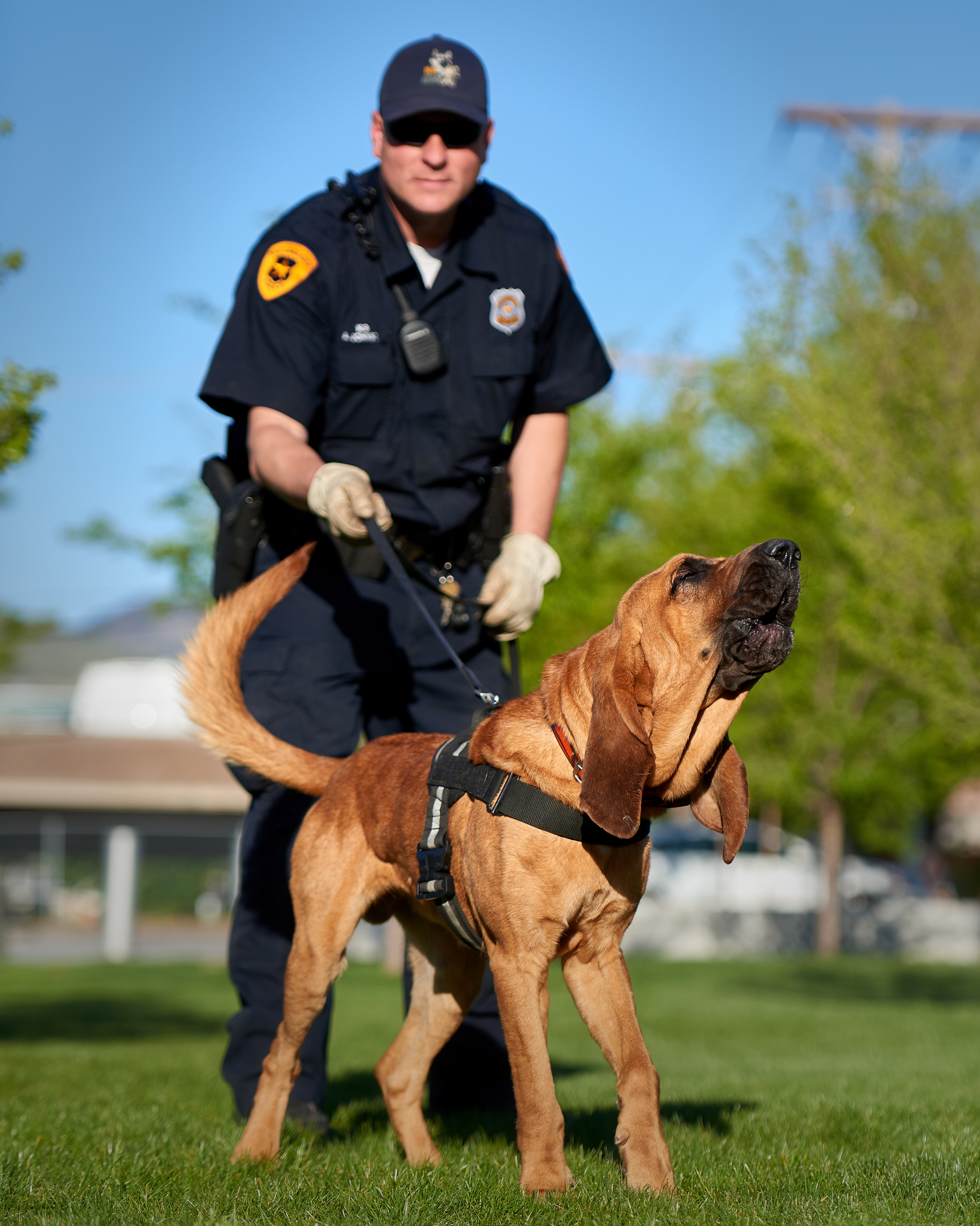 are k9 dogs considered police officers