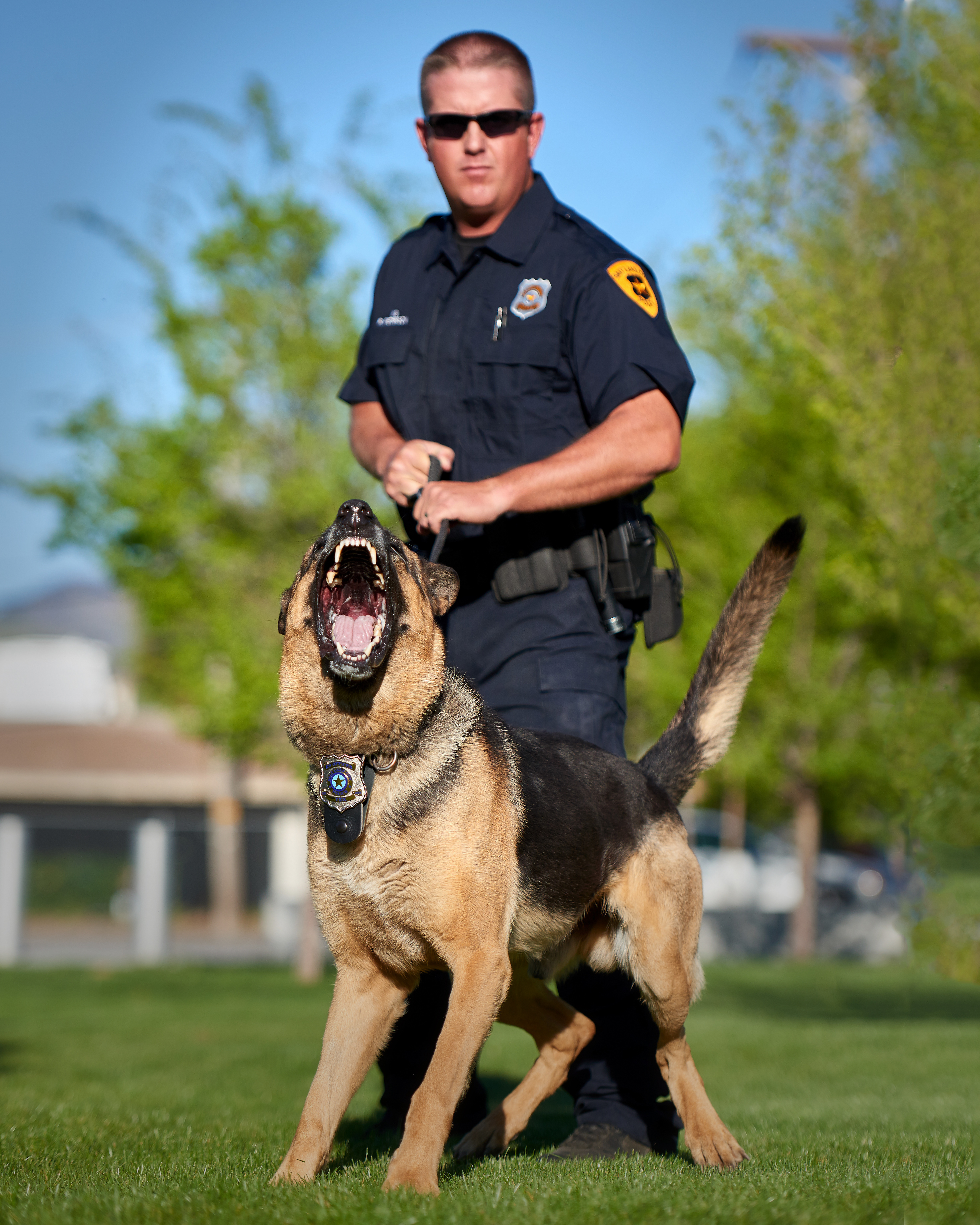 are k9 dogs considered police officers